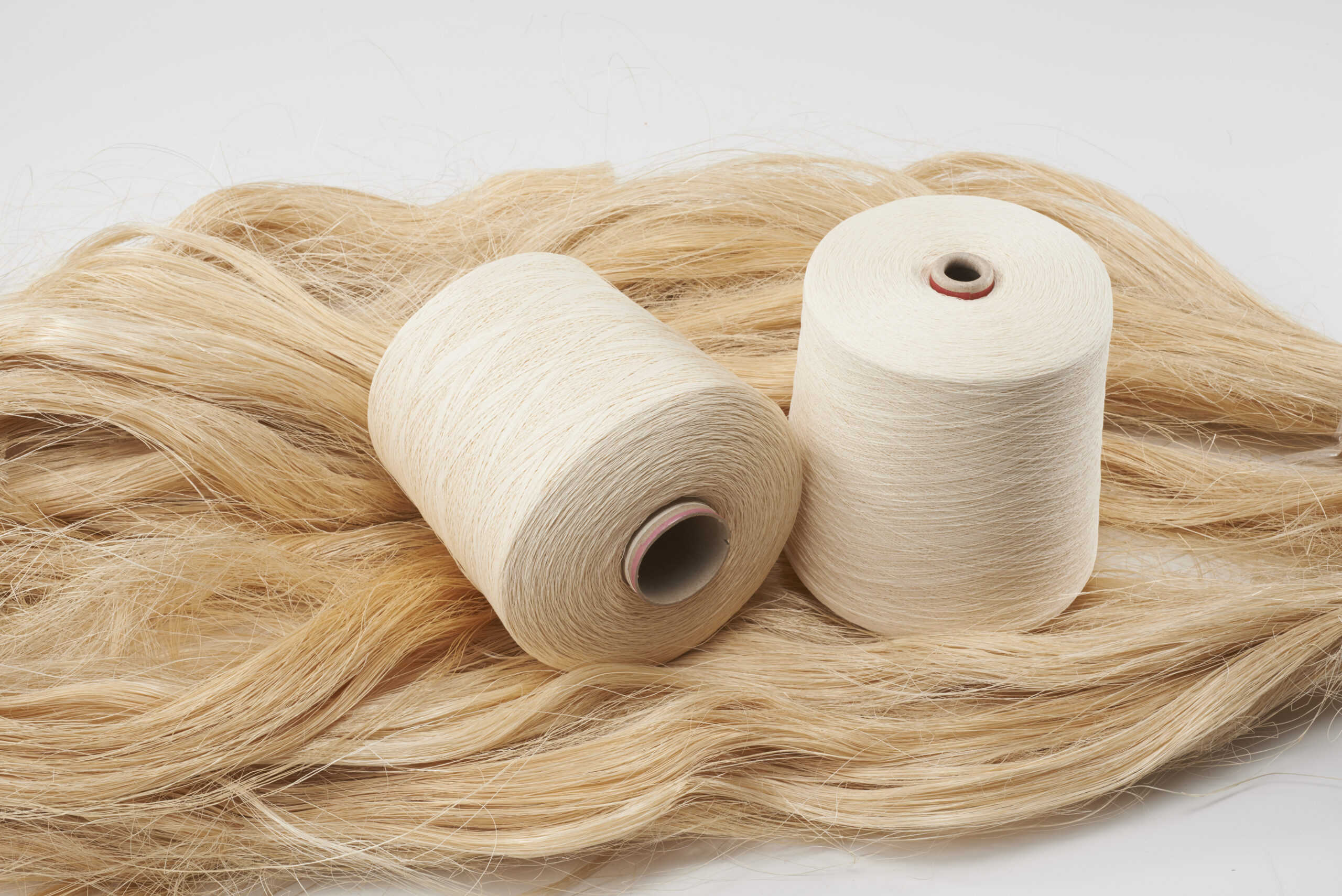 Paper yarn shop